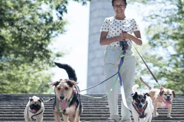 Brooklyn Tails and Trails Dog Walkers